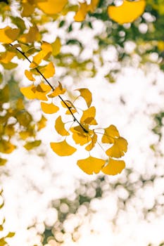 宁波银行“换帅”庄灵君将接棒董事长 总资产3.63万亿不良率连续8年低于0.8%