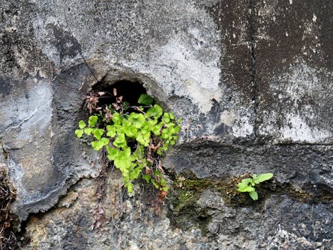长盈精密从消费电子卷到机器人 净利润下滑两成仍获特斯拉独家供应