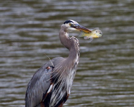  两会持续关注健康保障；商业保险作用日益凸显；长期护理体系加速构建。 股票财经 两会持续关注健康保障；商业保险作用日益凸显；长期护理体系加速构建。 股票财经