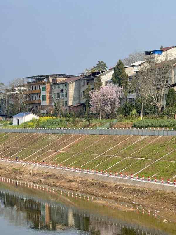  大家族里过年，一位年轻人的“两宗罪”｜记者过年_0227222816 新闻 大家族里过年，一位年轻人的“两宗罪”｜记者过年_0227222816 新闻