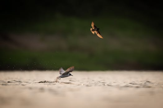 广发证券：中东地缘政治对于宏观和大类资产的影响