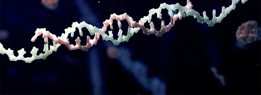 罕见病新药研发热潮涌动，寡核苷酸管线捷报频传；多款3期候选药物进展显著，照亮患者前行之路。