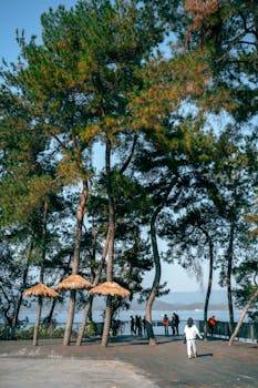 北交所做市商队伍持续扩容；多家机构申请资格获监管指导。