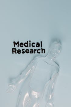  麦迪科技战略回归医疗领域，盈利能力显著回升；国产化与AI创新并进，开启康养智能化新篇章。 IT技术