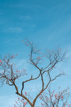  吉林边境线上，志愿者青春注入新活力；兴边富民行动持续推进。 文化旅游