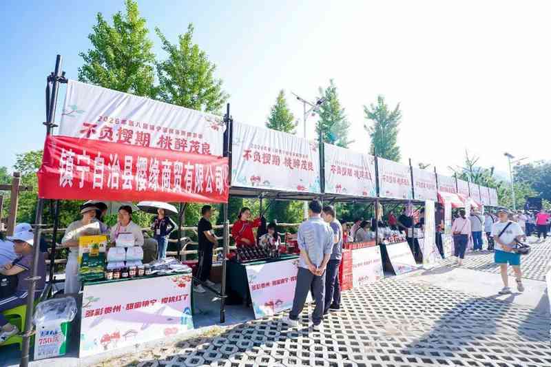  又是一年樱桃红：那个让人牵挂的茂良村，又一次热闹起来了 文化旅游