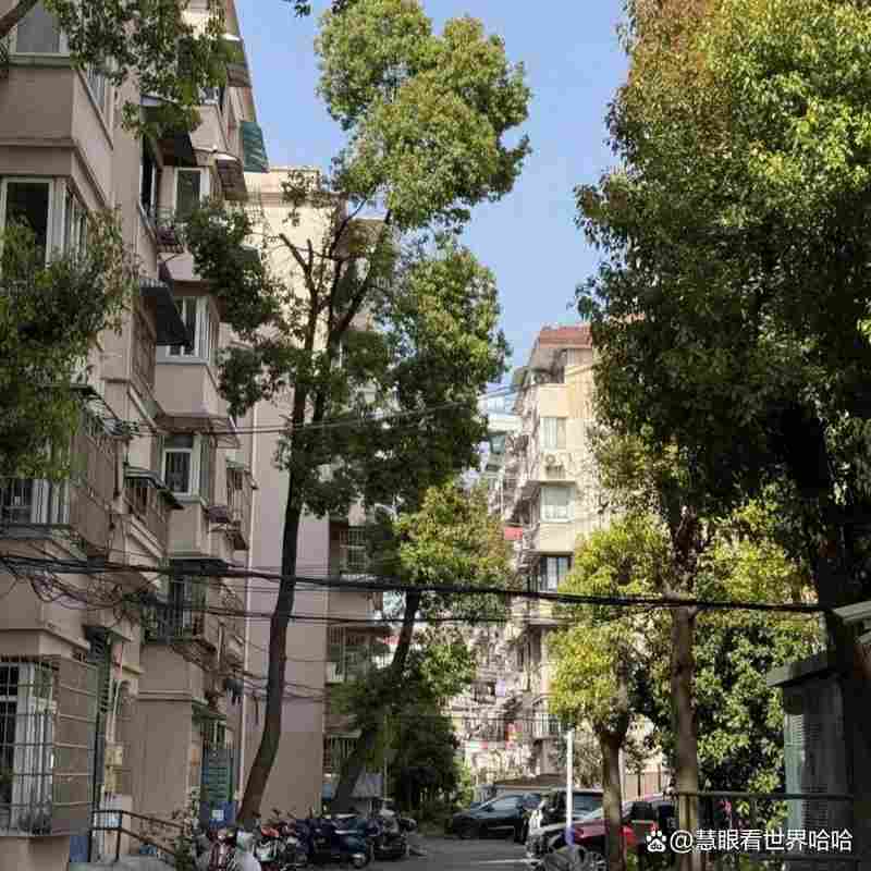 年轻人为何疯抢“老破小”？这5个扎心真相，越看越现实