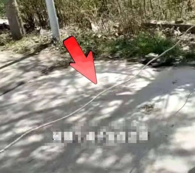 【安全警示】农村道路隐藏杀机：绳索勒喉事故背后的技术分析与防范指南 新闻