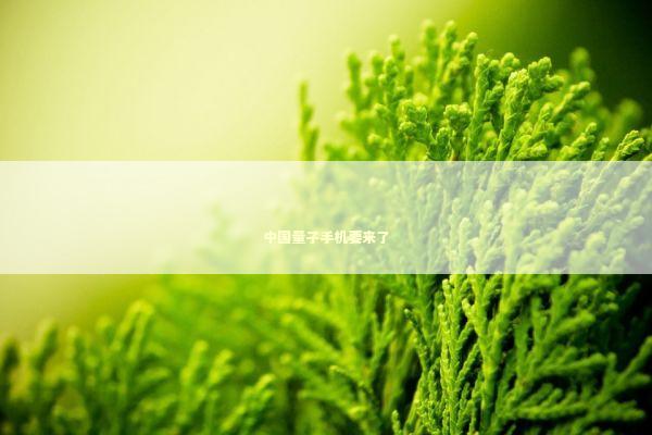 中国量子手机要来了