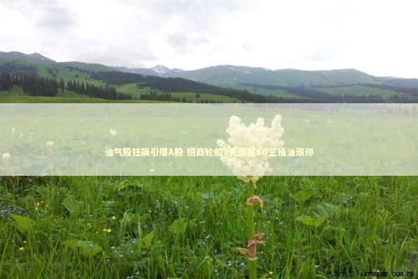 油气股狂飙引爆A股 招商轮船8天涨超60三桶油涨停