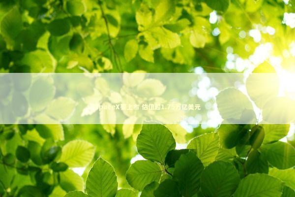 SpaceX要上市 估值超1.75万亿美元