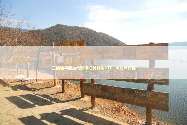 三桶油再度全线涨停红利低波ETF_小题大做型