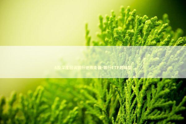 A股深度回调银行逆市走强-银行ETF趣味型