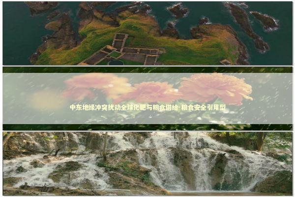 中东地缘冲突扰动全球化肥与粮食供给-粮食安全引用型