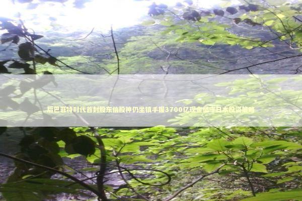 后巴菲特时代首封股东信股神仍坐镇手握3700亿现金坚守日本投资策略