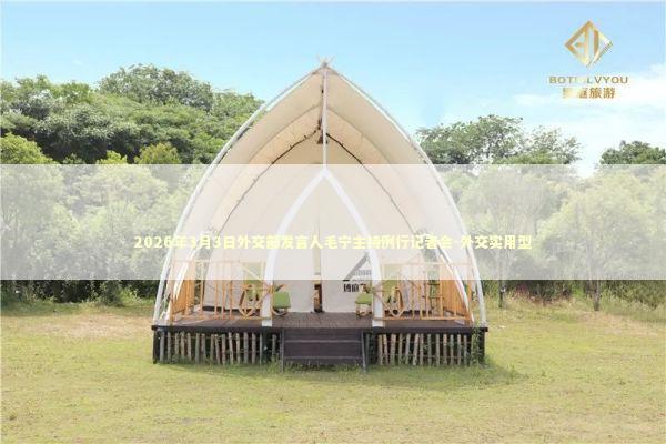 2026年3月3日外交部发言人毛宁主持例行记者会-外交实用型