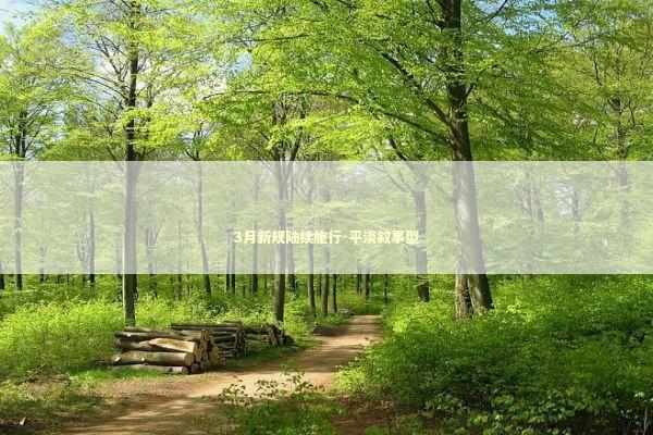 3月新规陆续施行-平淡叙事型
