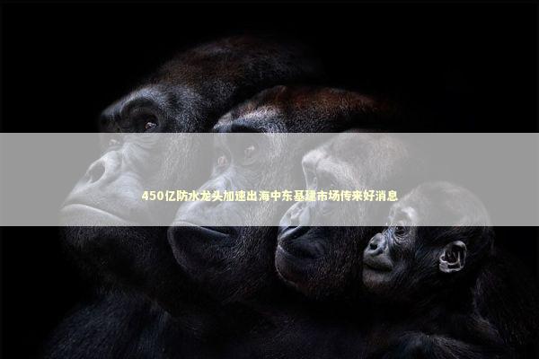 450亿防水龙头加速出海中东基建市场传来好消息