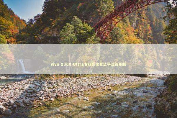 vivo X300 Ultra专业影像套装平淡叙事版