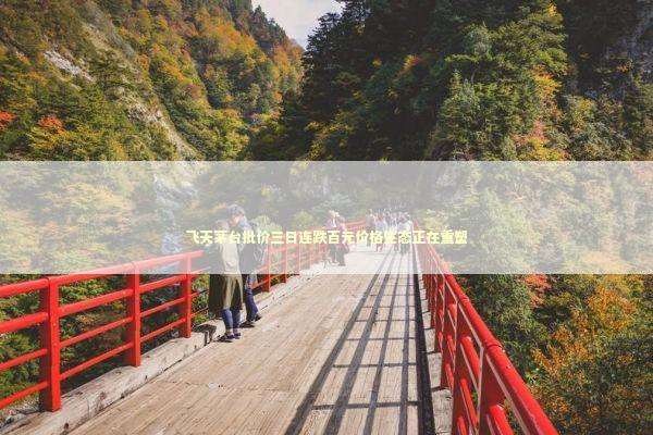 飞天茅台批价三日连跌百元价格生态正在重塑