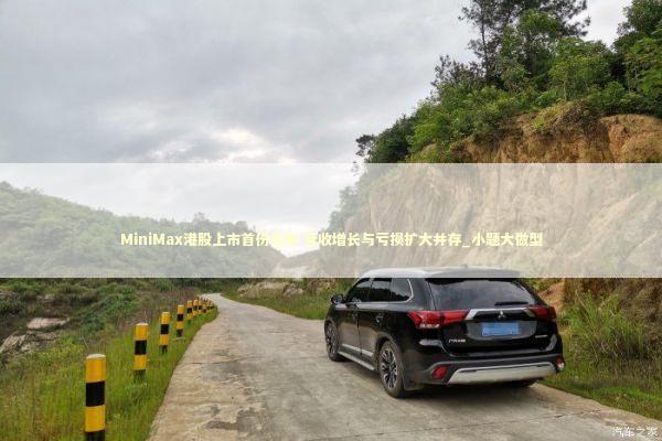 MiniMax港股上市首份年报 营收增长与亏损扩大并存_小题大做型