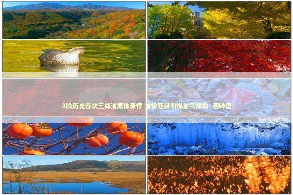 A股历史首次三桶油集体涨停 油价狂飙引爆油气板块_趣味型