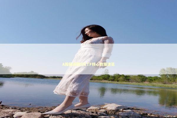 A股回调银行ETF核心数据速览