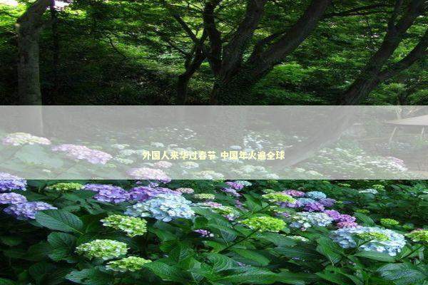 外国人来华过春节 中国年火遍全球