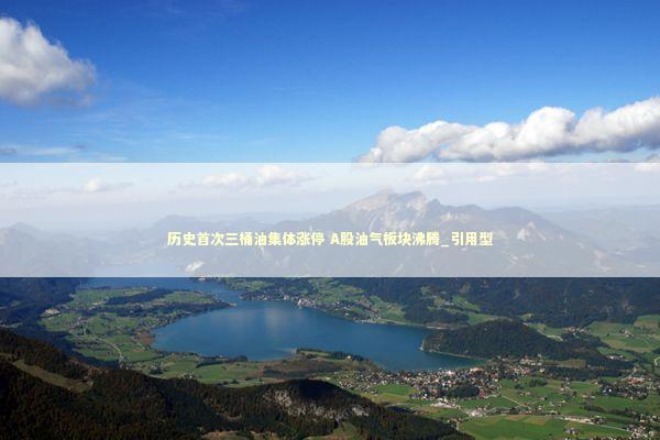 历史首次三桶油集体涨停 A股油气板块沸腾_引用型