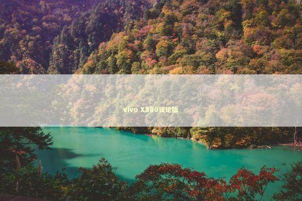 vivo X300议论版