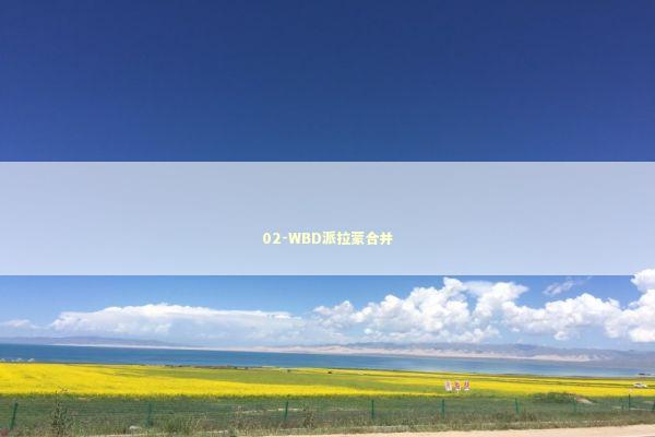 02-WBD派拉蒙合并