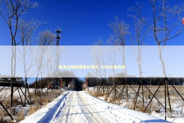 突发五粮液董事长落马 35年仕途终结