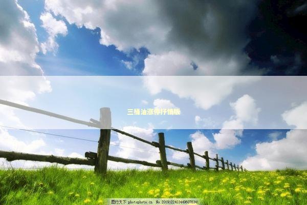 三桶油涨停抒情版