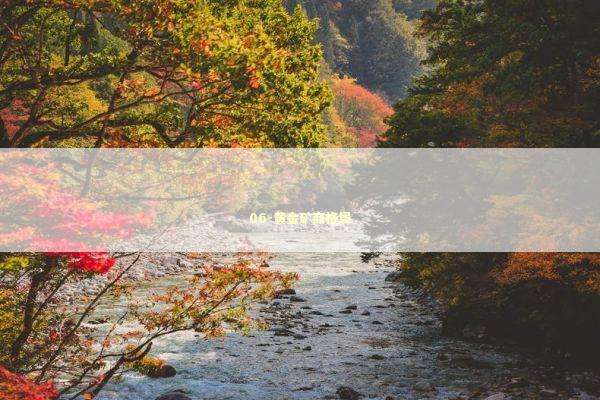 06-黄金矿商格局