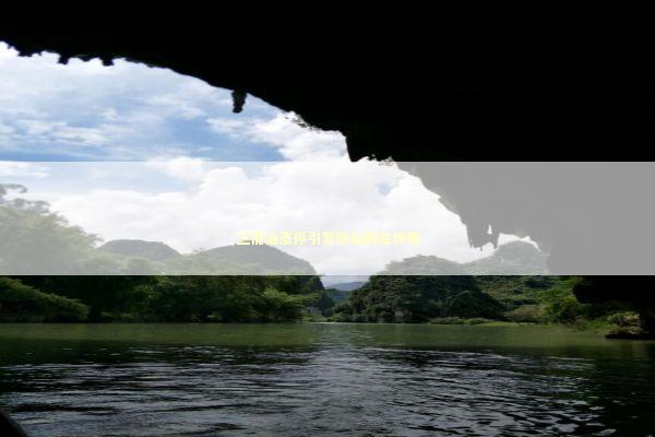 三桶油涨停引发热议网友炸锅