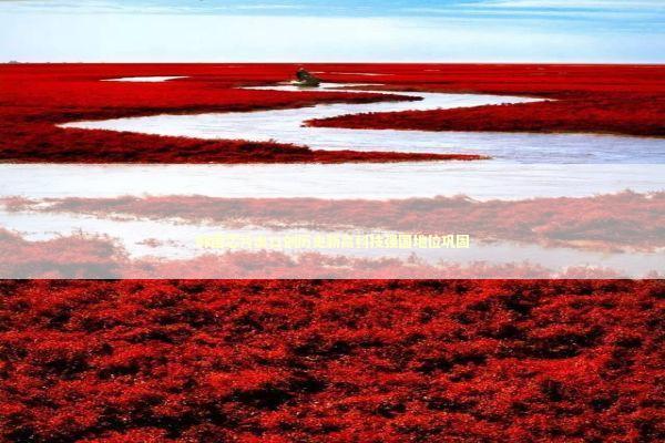 韩国芯片出口创历史新高科技强国地位巩固