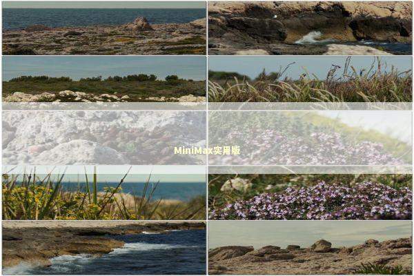 MiniMax实用版