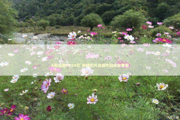 A股缩量7600亿 存储芯片业绩炸裂给出答案