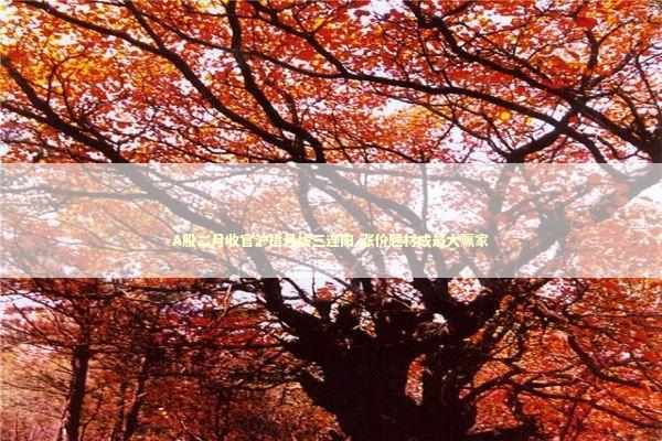 A股二月收官沪指月线三连阳 涨价题材成最大赢家