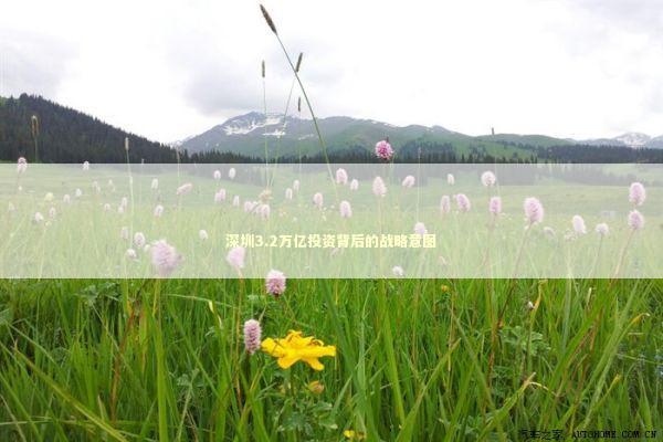 深圳3.2万亿投资背后的战略意图