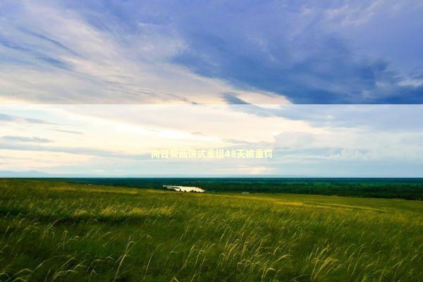 向日葵画饼式重组48天被重罚