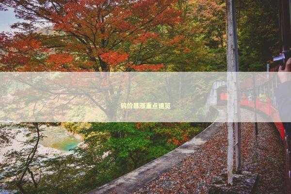 钨价暴涨重点速览