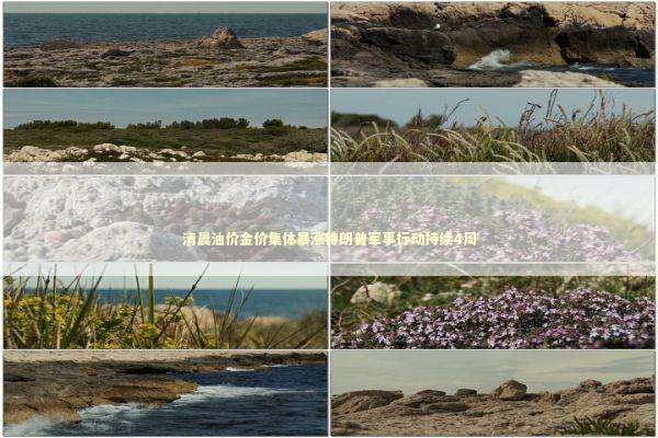 清晨油价金价集体暴涨特朗普军事行动持续4周