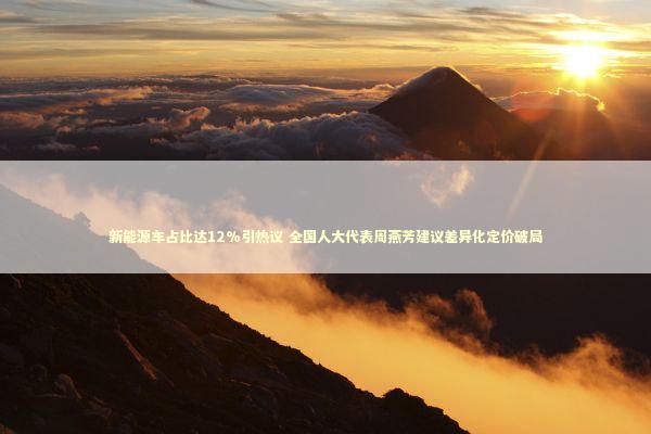 新能源车占比达12%引热议 全国人大代表周燕芳建议差异化定价破局