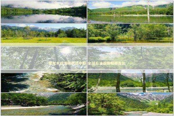 霍尔木兹海峡航运中断 全球石油运输咽喉告急