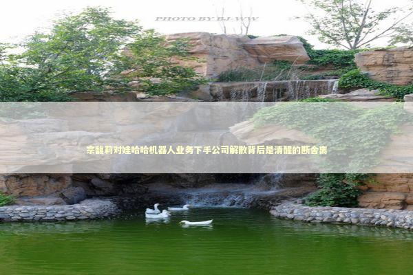 宗馥莉对娃哈哈机器人业务下手公司解散背后是清醒的断舍离