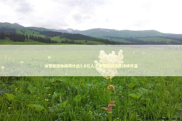 冰雪旅游休闲预计达3.6亿人次冰雪旅游消费持续升温