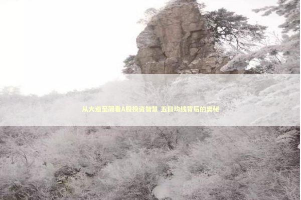 从大道至简看A股投资智慧 五日均线背后的奥秘