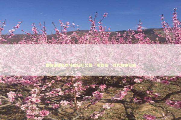 直销渠道免费将成标配公募“零费率”时代加速到来