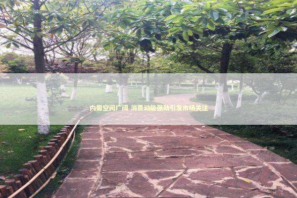 内需空间广阔 消费动能强劲引发市场关注